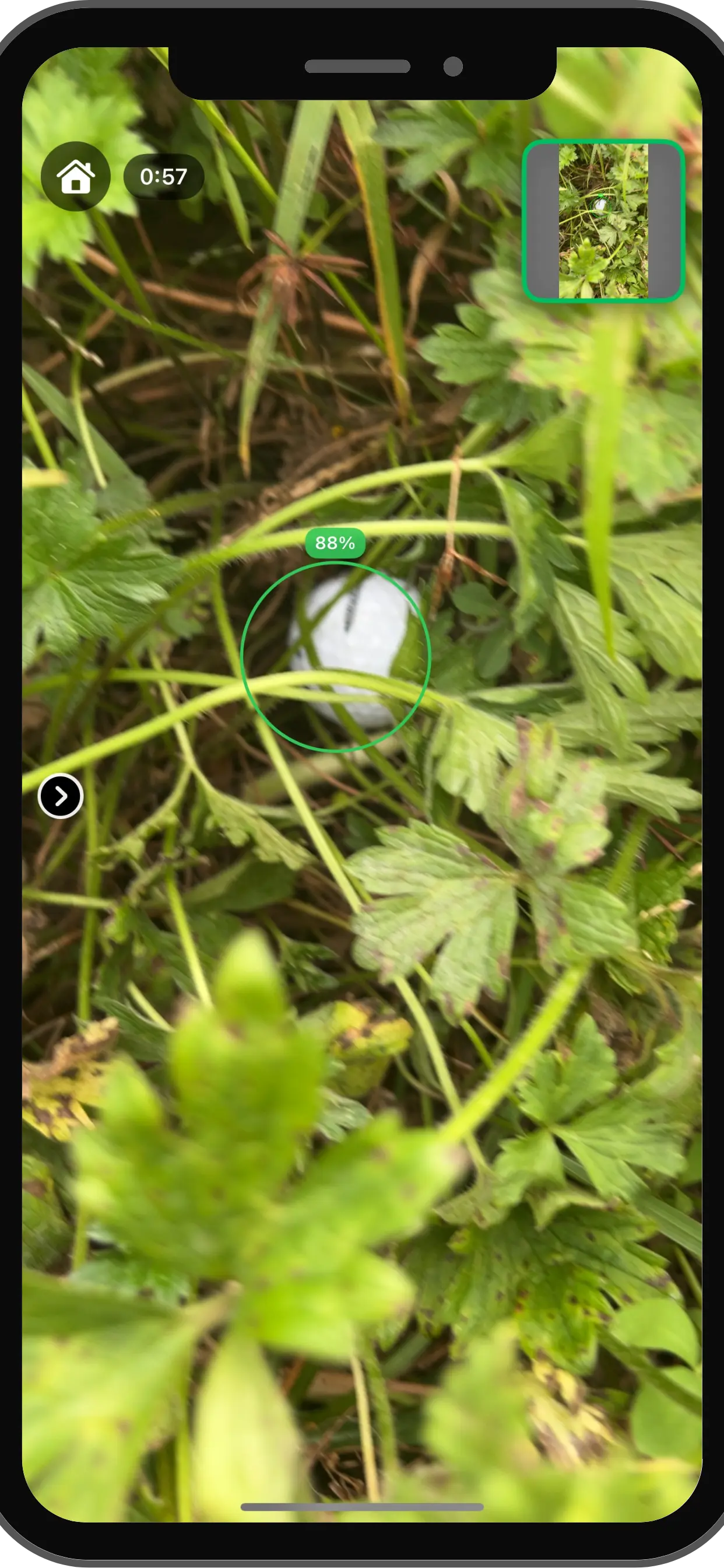 Find My Ball: Real-Time AI Golf Ball Detection on Mobile Devices